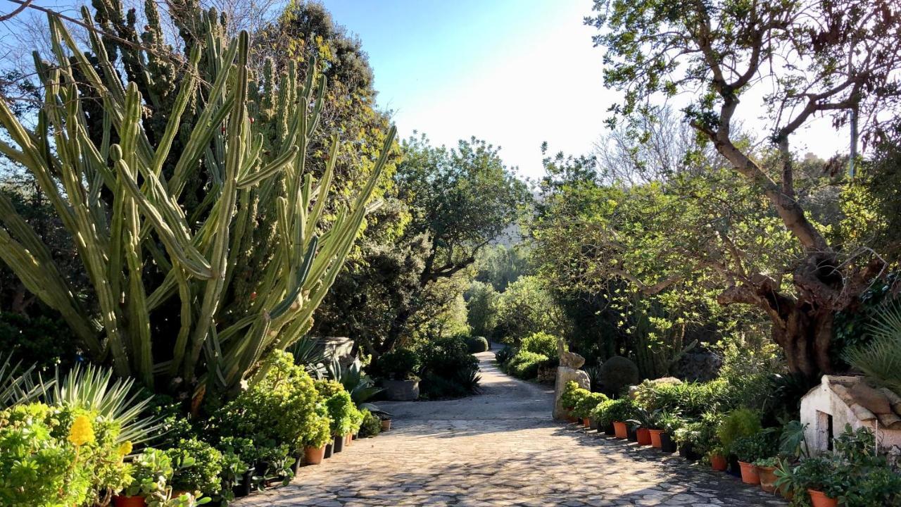 Guillo Farm stay